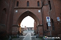 VBS_9874 - La Morra, Barolo, Grinzane Cavour, Pollenzo